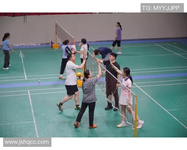 南京羽毛球队在联赛中的技术表现分析与未来发展展望 南京羽毛球队在联赛中的技术表现分析与未来发展展望