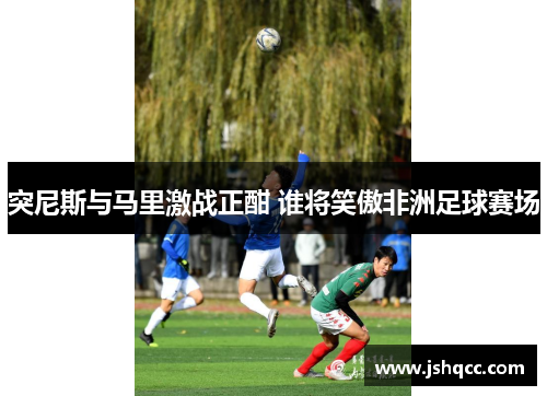 突尼斯与马里激战正酣 谁将笑傲非洲足球赛场